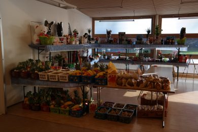 SAMSUNG CSC